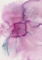http://www.actionaqua.com/files/gimgs/th-120_Scan 9.jpg